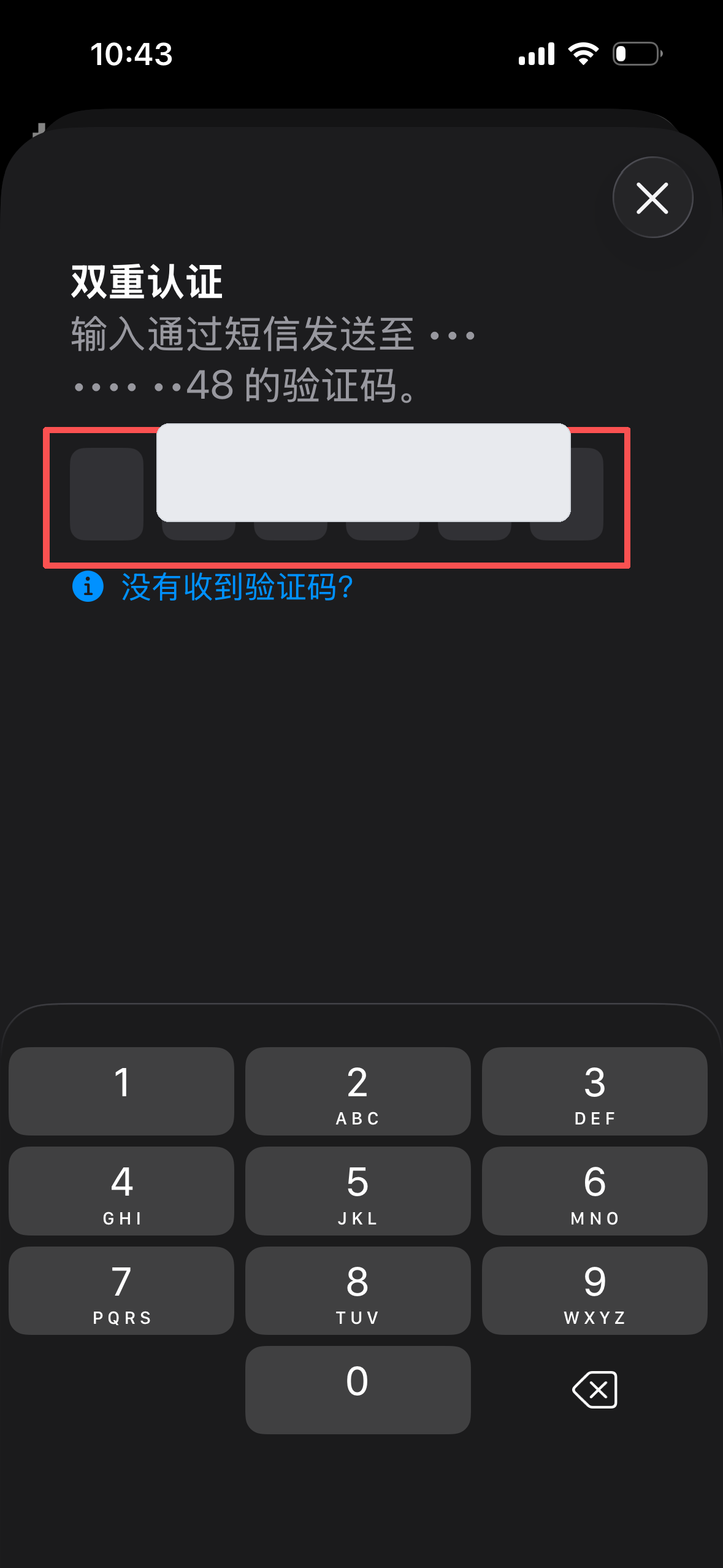 App Store 输入验证码